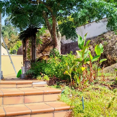 Casa De Paco Q2 民宿 阿尔库什迪瓦尔德维什